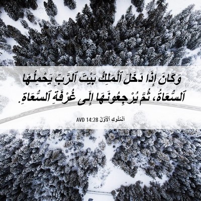 Picture 06 - اَلْمُلُوكِ ٱلْأَوَّلُ 14:28 AVD - وَكَانَ إِذَا دَخَلَ - Bible Verse Picture