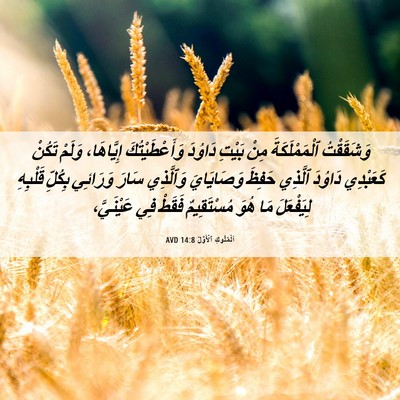 Picture 06 - اَلْمُلُوكِ ٱلْأَوَّلُ 14:8 AVD - وَشَقَقْتُ ٱلْمَمْلَكَةَ - Bible Verse Picture