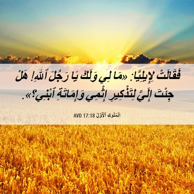 Picture 06 - اَلْمُلُوكِ ٱلْأَوَّلُ 17:18 AVD - فَقَالَتْ لِإِيلِيَّا: - Bible Verse Picture