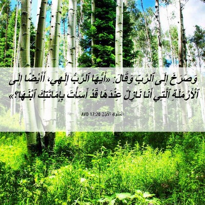Picture 06 - اَلْمُلُوكِ ٱلْأَوَّلُ 17:20 AVD - وَصَرَخَ إِلَى ٱلرَّبِّ - Bible Verse Picture