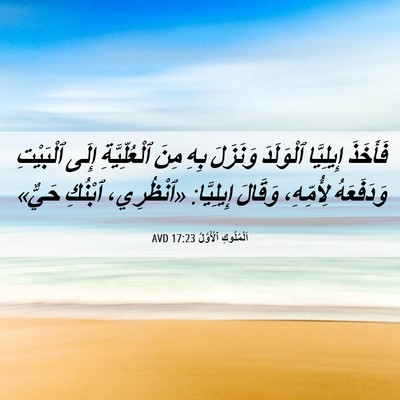 Picture 06 - اَلْمُلُوكِ ٱلْأَوَّلُ 17:23 AVD - فَأَخَذَ إِيلِيَّا - Bible Verse Picture