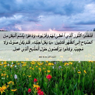 Picture 06 - اَلْمُلُوكِ ٱلْأَوَّلُ 18:26 AVD - فَأَخَذُوا ٱلثَّوْرَ - Bible Verse Picture