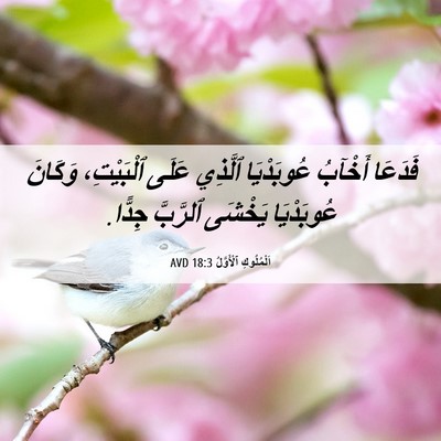 Picture 06 - اَلْمُلُوكِ ٱلْأَوَّلُ 18:3 AVD - فَدَعَا أَخْآبُ - Bible Verse Picture