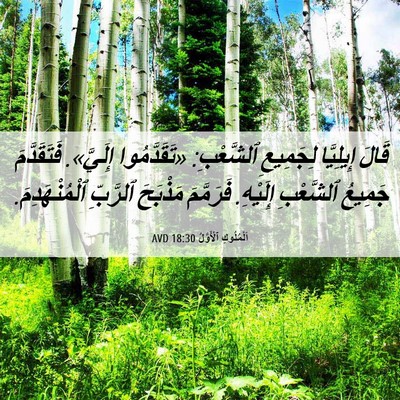 Picture 06 - اَلْمُلُوكِ ٱلْأَوَّلُ 18:30 AVD - قَالَ إِيلِيَّا لِجَمِيعِ - Bible Verse Picture