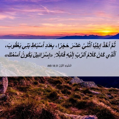 Picture 06 - اَلْمُلُوكِ ٱلْأَوَّلُ 18:31 AVD - ثُمَّ أَخَذَ إِيلِيَّا - Bible Verse Picture