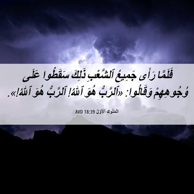 Picture 06 - اَلْمُلُوكِ ٱلْأَوَّلُ 18:39 AVD - فَلَمَّا رَأَى جَمِيعُ - Bible Verse Picture