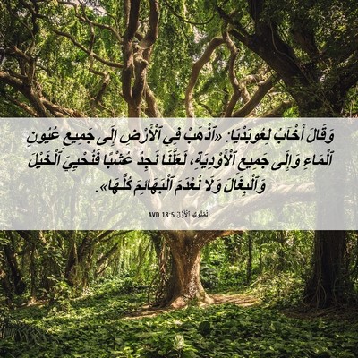 Picture 06 - اَلْمُلُوكِ ٱلْأَوَّلُ 18:5 AVD - وَقَالَ أَخْآبُ - Bible Verse Picture