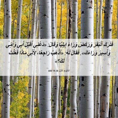 Picture 06 - اَلْمُلُوكِ ٱلْأَوَّلُ 19:20 AVD - فَتَرَكَ ٱلْبَقَرَ - Bible Verse Picture