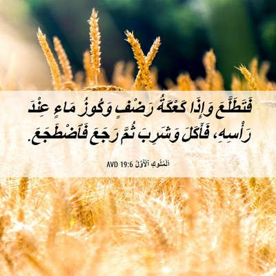 Picture 06 - اَلْمُلُوكِ ٱلْأَوَّلُ 19:6 AVD - فَتَطَلَّعَ وَإِذَا - Bible Verse Picture