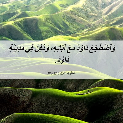 Picture 06 - اَلْمُلُوكِ ٱلْأَوَّلُ 2:10 AVD - وَٱضْطَجَعَ دَاوُدُ مَعَ - Bible Verse Picture