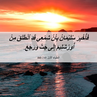 Picture 06 - اَلْمُلُوكِ ٱلْأَوَّلُ 2:41 AVD - فَأُخْبِرَ سُلَيْمَانُ - Bible Verse Picture