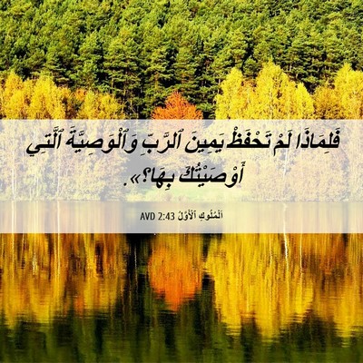 Picture 06 - اَلْمُلُوكِ ٱلْأَوَّلُ 2:43 AVD - فَلِمَاذَا لَمْ تَحْفَظْ - Bible Verse Picture