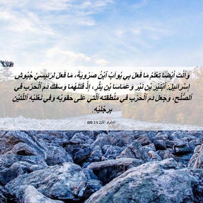 Picture 06 - اَلْمُلُوكِ ٱلْأَوَّلُ 2:5 AVD - وَأَنْتَ أَيْضًا تَعْلَمُ - Bible Verse Picture