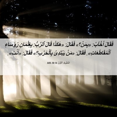 Picture 06 - اَلْمُلُوكِ ٱلْأَوَّلُ 20:14 AVD - فَقَالَ أَخْآبُ: «بِمَنْ؟» - Bible Verse Picture