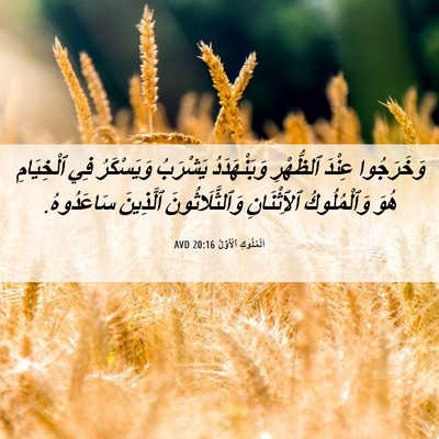 Picture 06 - اَلْمُلُوكِ ٱلْأَوَّلُ 20:16 AVD - وَخَرَجُوا عِنْدَ - Bible Verse Picture