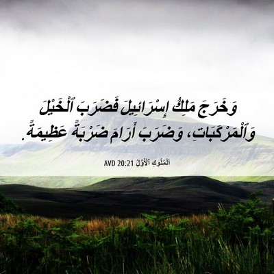 Picture 06 - اَلْمُلُوكِ ٱلْأَوَّلُ 20:21 AVD - وَخَرَجَ مَلِكُ - Bible Verse Picture