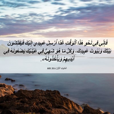 Picture 06 - اَلْمُلُوكِ ٱلْأَوَّلُ 20:6 AVD - فَإِنِّي فِي نَحْوِ هَذَا - Bible Verse Picture