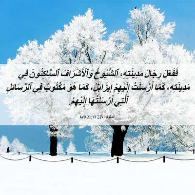 Picture 06 - اَلْمُلُوكِ ٱلْأَوَّلُ 21:11 AVD - فَفَعَلَ رِجَالُ - Bible Verse Picture