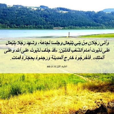 Picture 06 - اَلْمُلُوكِ ٱلْأَوَّلُ 21:13 AVD - وَأَتَى رَجُلَانِ مِنْ - Bible Verse Picture