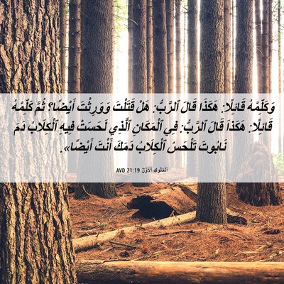 Picture 06 - اَلْمُلُوكِ ٱلْأَوَّلُ 21:19 AVD - وَكَلِّمْهُ قَائِلًا: - Bible Verse Picture
