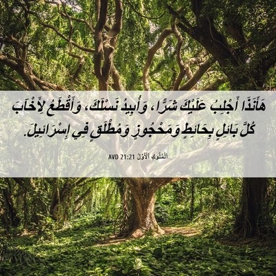Picture 06 - اَلْمُلُوكِ ٱلْأَوَّلُ 21:21 AVD - هَأَنَذَا أَجْلِبُ - Bible Verse Picture