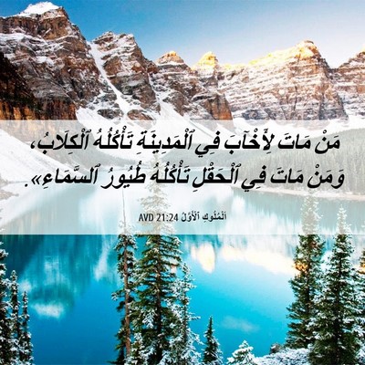 Picture 06 - اَلْمُلُوكِ ٱلْأَوَّلُ 21:24 AVD - مَنْ مَاتَ لِأَخْآبَ فِي - Bible Verse Picture