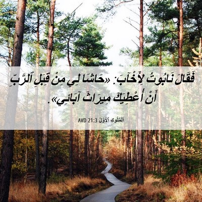 Picture 06 - اَلْمُلُوكِ ٱلْأَوَّلُ 21:3 AVD - فَقَالَ نَابُوتُ - Bible Verse Picture