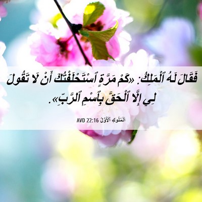 Picture 06 - اَلْمُلُوكِ ٱلْأَوَّلُ 22:16 AVD - فَقَالَ لَهُ ٱلْمَلِكُ: - Bible Verse Picture
