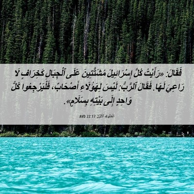 Picture 06 - اَلْمُلُوكِ ٱلْأَوَّلُ 22:17 AVD - فَقَالَ: «رَأَيْتُ كُلَّ - Bible Verse Picture