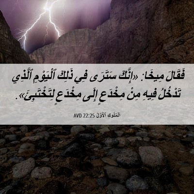 Picture 06 - اَلْمُلُوكِ ٱلْأَوَّلُ 22:25 AVD - فَقَالَ مِيخَا: «إِنَّكَ - Bible Verse Picture