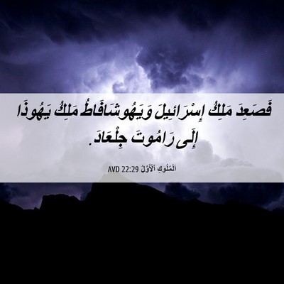 Picture 06 - اَلْمُلُوكِ ٱلْأَوَّلُ 22:29 AVD - فَصَعِدَ مَلِكُ - Bible Verse Picture