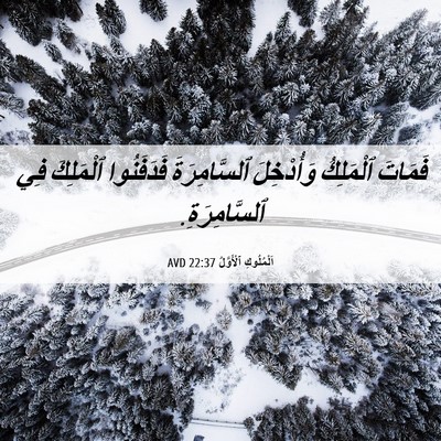 Picture 06 - اَلْمُلُوكِ ٱلْأَوَّلُ 22:37 AVD - فَمَاتَ ٱلْمَلِكُ - Bible Verse Picture