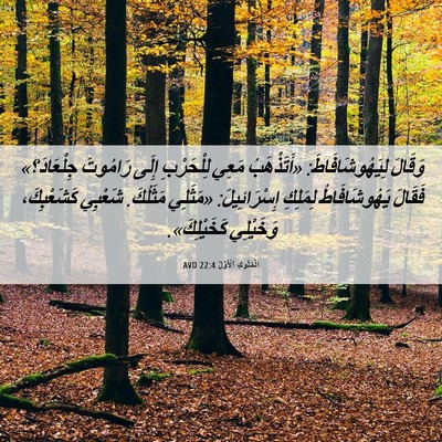 Picture 06 - اَلْمُلُوكِ ٱلْأَوَّلُ 22:4 AVD - وَقَالَ لِيَهُوشَافَاطَ: - Bible Verse Picture