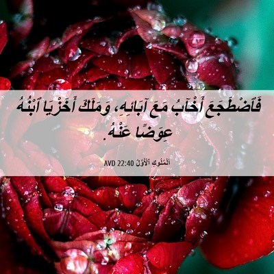 Picture 06 - اَلْمُلُوكِ ٱلْأَوَّلُ 22:40 AVD - فَٱضْطَجَعَ أَخْآبُ مَعَ - Bible Verse Picture