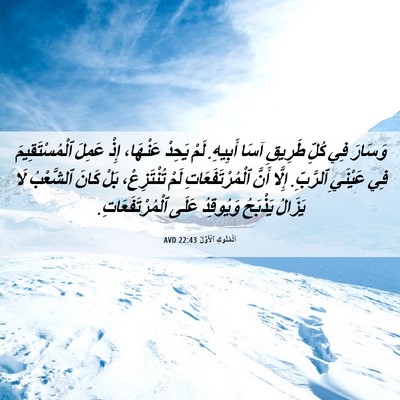 Picture 06 - اَلْمُلُوكِ ٱلْأَوَّلُ 22:43 AVD - وَسَارَ فِي كُلِّ طَرِيقِ - Bible Verse Picture