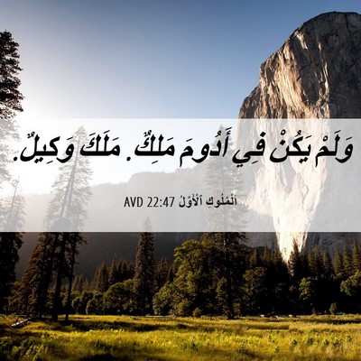 Picture 06 - اَلْمُلُوكِ ٱلْأَوَّلُ 22:47 AVD - وَلَمْ يَكُنْ فِي أَدُومَ - Bible Verse Picture