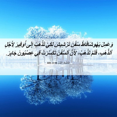 Picture 06 - اَلْمُلُوكِ ٱلْأَوَّلُ 22:48 AVD - وَعَمِلَ يَهُوشَافَاطُ - Bible Verse Picture