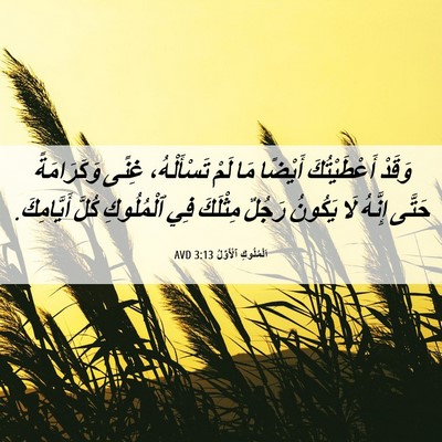 Picture 06 - اَلْمُلُوكِ ٱلْأَوَّلُ 3:13 AVD - وَقَدْ أَعْطَيْتُكَ - Bible Verse Picture