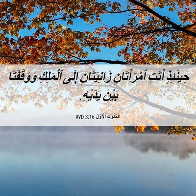 Picture 06 - اَلْمُلُوكِ ٱلْأَوَّلُ 3:16 AVD - حِينَئِذٍ أَتَتِ - Bible Verse Picture
