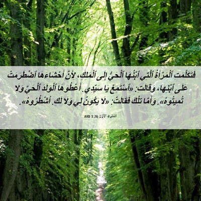 Picture 06 - اَلْمُلُوكِ ٱلْأَوَّلُ 3:26 AVD - فَتَكَلَّمَتِ ٱلْمَرْأَةُ - Bible Verse Picture