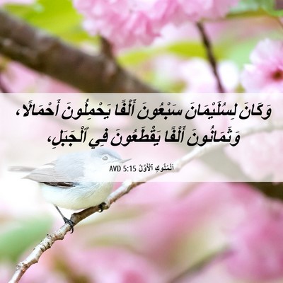 Picture 06 - اَلْمُلُوكِ ٱلْأَوَّلُ 5:15 AVD - وَكَانَ لِسُلَيْمَانَ - Bible Verse Picture