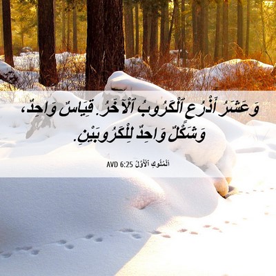 Picture 06 - اَلْمُلُوكِ ٱلْأَوَّلُ 6:25 AVD - وَعَشَرُ أَذْرُعٍ - Bible Verse Picture