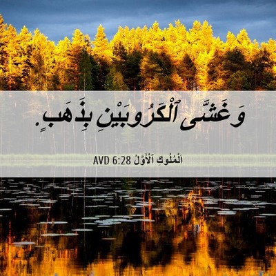 Picture 06 - اَلْمُلُوكِ ٱلْأَوَّلُ 6:28 AVD - وَغَشَّى ٱلْكَرُوبَيْنِ - Bible Verse Picture