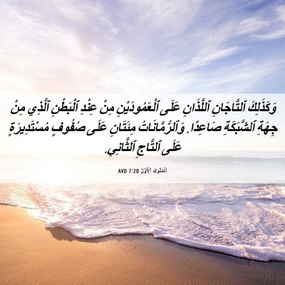 Picture 06 - اَلْمُلُوكِ ٱلْأَوَّلُ 7:20 AVD - وَكَذَلِكَ ٱلتَّاجَانِ - Bible Verse Picture