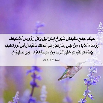 Picture 06 - اَلْمُلُوكِ ٱلْأَوَّلُ 8:1 AVD - حِينَئِذٍ جَمَعَ - Bible Verse Picture