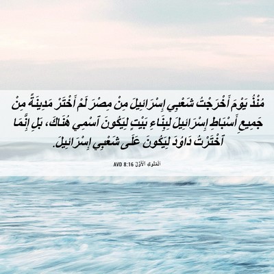 Picture 06 - اَلْمُلُوكِ ٱلْأَوَّلُ 8:16 AVD - مُنْذُ يَوْمَ أَخْرَجْتُ - Bible Verse Picture