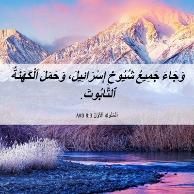 Picture 06 - اَلْمُلُوكِ ٱلْأَوَّلُ 8:3 AVD - وَجَاءَ جَمِيعُ شُيُوخِ - Bible Verse Picture