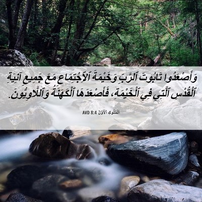Picture 06 - اَلْمُلُوكِ ٱلْأَوَّلُ 8:4 AVD - وَأَصْعَدُوا تَابُوتَ - Bible Verse Picture