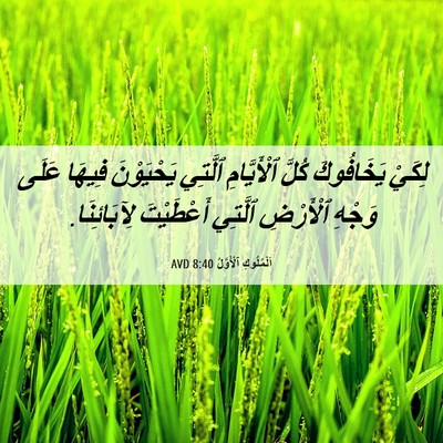 Picture 06 - اَلْمُلُوكِ ٱلْأَوَّلُ 8:40 AVD - لِكَيْ يَخَافُوكَ كُلَّ - Bible Verse Picture