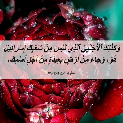 Picture 06 - اَلْمُلُوكِ ٱلْأَوَّلُ 8:41 AVD - وَكَذَلِكَ ٱلْأَجْنَبِيُّ - Bible Verse Picture